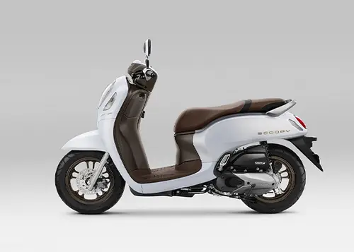 Scoopy Prestige White